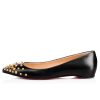 spikyshell flat - Image 2